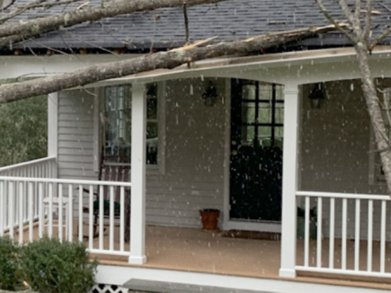 tree fallen on house